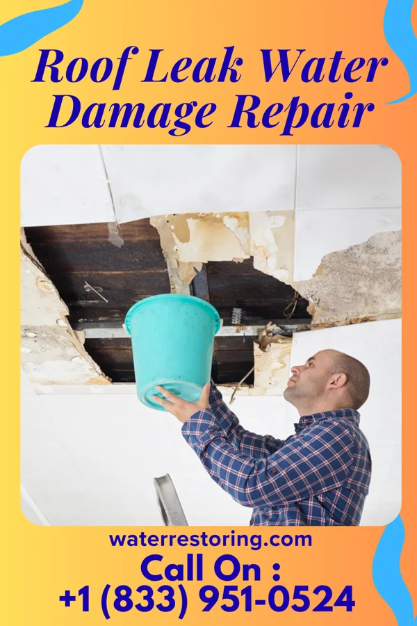 Roof Leak Water Damage Repair in Van Horn, TX